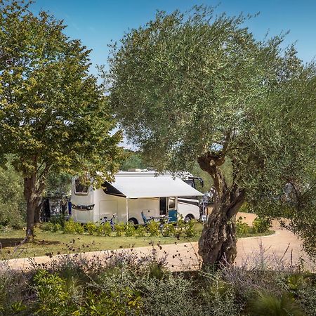 Maistra Camping Koversada Uncovered Naturist Pitches Vrsar Zewnętrze zdjęcie